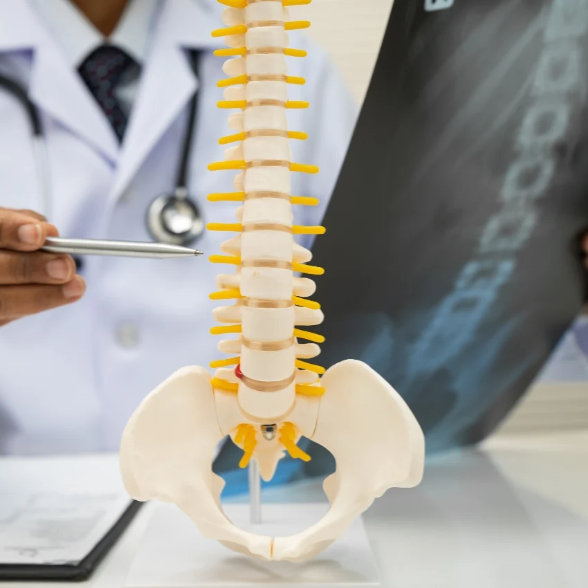 Illustrative consultation using a spine model